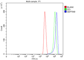 MSF/SEPTIN9 Antibody