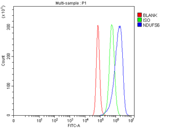 NDUFS6 Rabbit Polyclonal Antibody