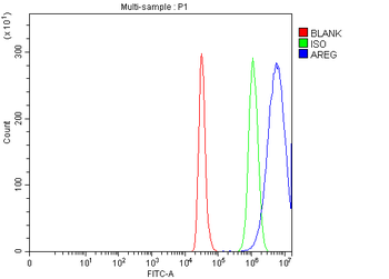 Amphiregulin/AREG Rabbit Polyclonal Antibody