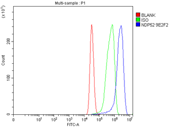 NDP52/CALCOCO2 Mouse Monoclonal Antibody