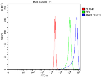 Ankyrin erythroid/ANK/ANK1 Mouse Monoclonal Antibody