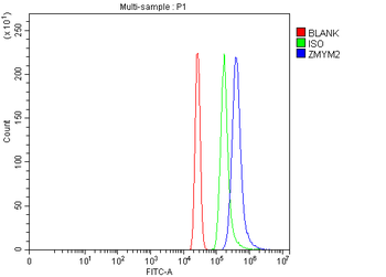 RAMP/ZMYM2 Rabbit Polyclonal Antibody