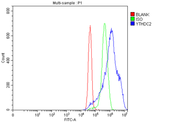 YTHDC2 Rabbit Polyclonal Antibody