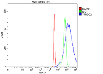 YTHDC2 Rabbit Polyclonal Antibody