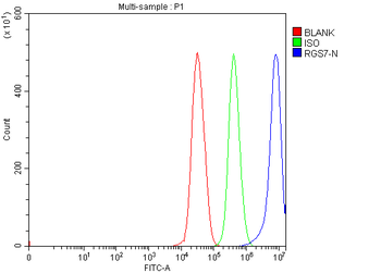 RGS7 Rabbit Polyclonal Antibody