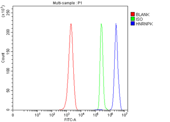 hnRNP K/HNRNPK Antibody