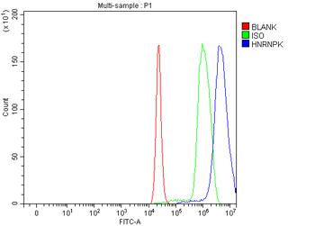 hnRNP K/HNRNPK Antibody