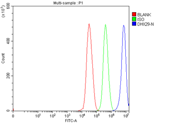 DHX29 Rabbit Polyclonal Antibody