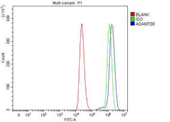 ADAMTS9 Rabbit Polyclonal Antibody