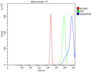 ADAMTS9 Rabbit Polyclonal Antibody