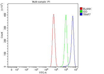 TRAF7 Rabbit Polyclonal Antibody