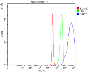 SAP30 Rabbit Polyclonal Antibody