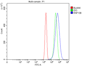 HSD-4/RNF138/HSD Rabbit Polyclonal Antibody