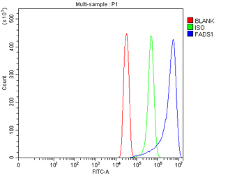 FADS1 Rabbit Polyclonal Antibody