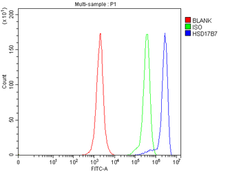 HSD17B7 Rabbit Polyclonal Antibody