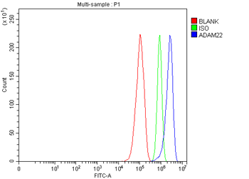 ADAM22 Rabbit Polyclonal Antibody