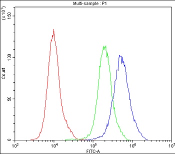 Bcl-2-like protein 2 Bcl2L2 Antibody