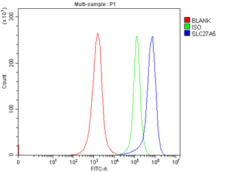 BAL/SLC27A5 Rabbit Polyclonal Antibody