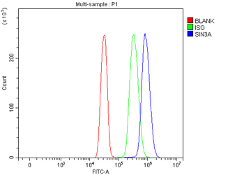 mSin3A/SIN3A Antibody
