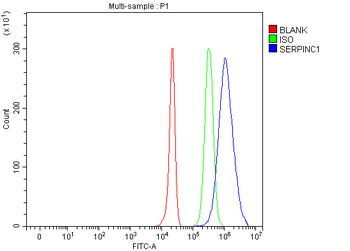 Antithrombin III/SERPINC1 Antibody