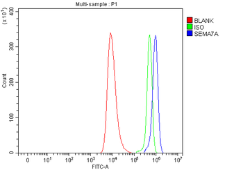 Semaphorin 7a/SEMA7A Rabbit Polyclonal Antibody