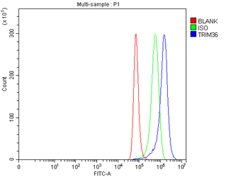 TRIM36 Rabbit Polyclonal Antibody