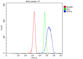SFPQ Antibody