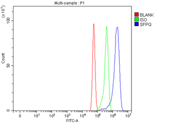 SFPQ Antibody
