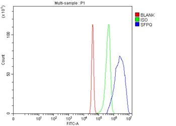 SFPQ Antibody