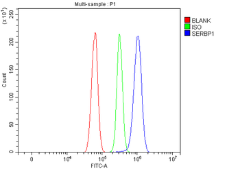 SERBP1 Rabbit Polyclonal Antibody