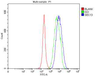 SEC13L1/SEC13 Antibody