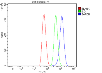 SARDH Rabbit Polyclonal Antibody