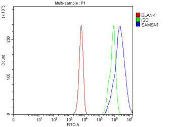 SAMSN1 Rabbit Polyclonal Antibody