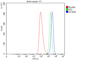 SAH/ACSM3 Rabbit Polyclonal Antibody