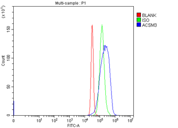 SAH/ACSM3 Rabbit Polyclonal Antibody