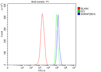 SNRNP200 Antibody