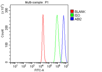 ABI2 Rabbit Polyclonal Antibody