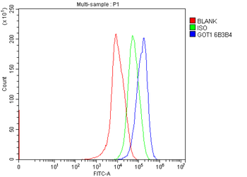 Aspartate Aminotransferase/GOT1 Mouse Monoclonal Antibody