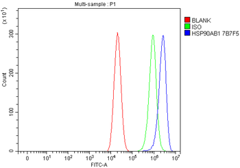 Hsp90 beta/HSP90AB1 Antibody (monoclonal, 7B7F5)