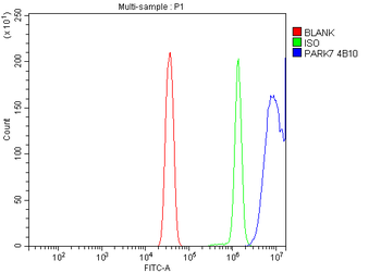 PARK7/DJ1 Antibody (monoclonal, 4B10)