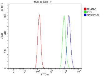 SMCR8 Rabbit Polyclonal Antibody