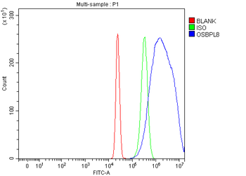 OSBPL8 Rabbit Polyclonal Antibody