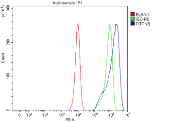 PITPNB Antibody
