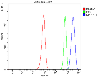 RPRD1B Antibody