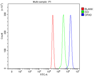 OPA3 Rabbit Polyclonal Antibody