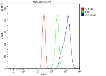 OLFML2B Rabbit Polyclonal Antibody