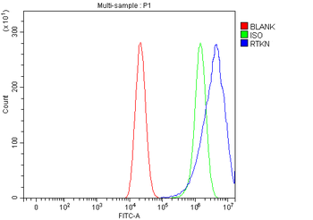 RTKN Antibody