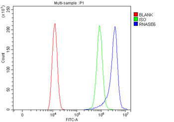 RNASE6 Rabbit Polyclonal Antibody