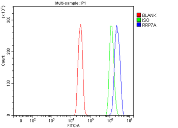 RRP7A Rabbit Polyclonal Antibody
