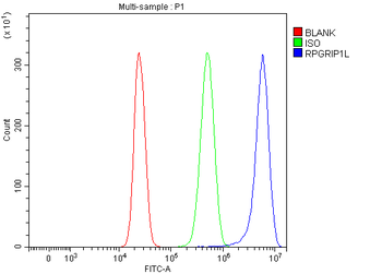 RPGRIP1L Rabbit Polyclonal Antibody